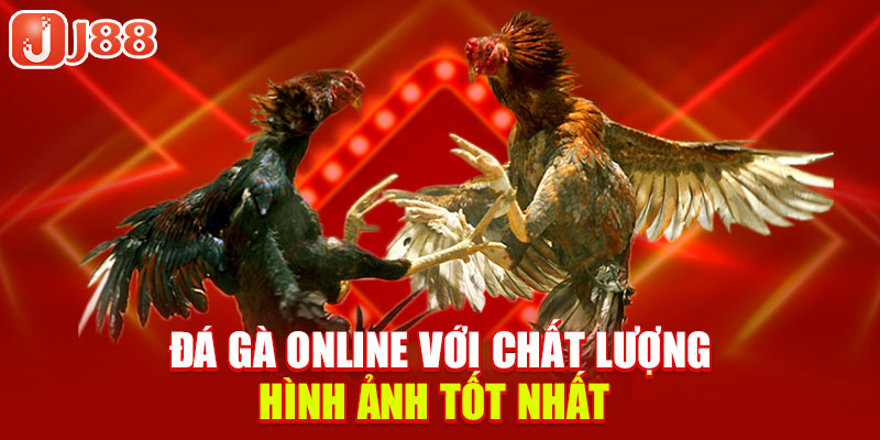 da-ga-online-voi-chat-luong-hinh-anh-tot-nhat-