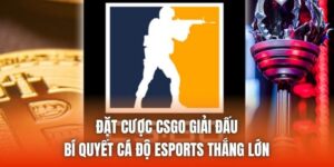 Đặt Cược CSGO Giải Đấu - Bí Quyết Cá Độ Esports Thắng Lớn