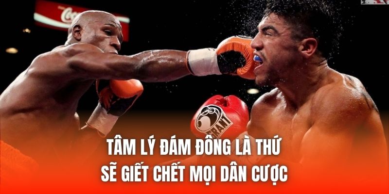 Tâm lý đám đông là thứ sẽ giết chết mọi dân cược